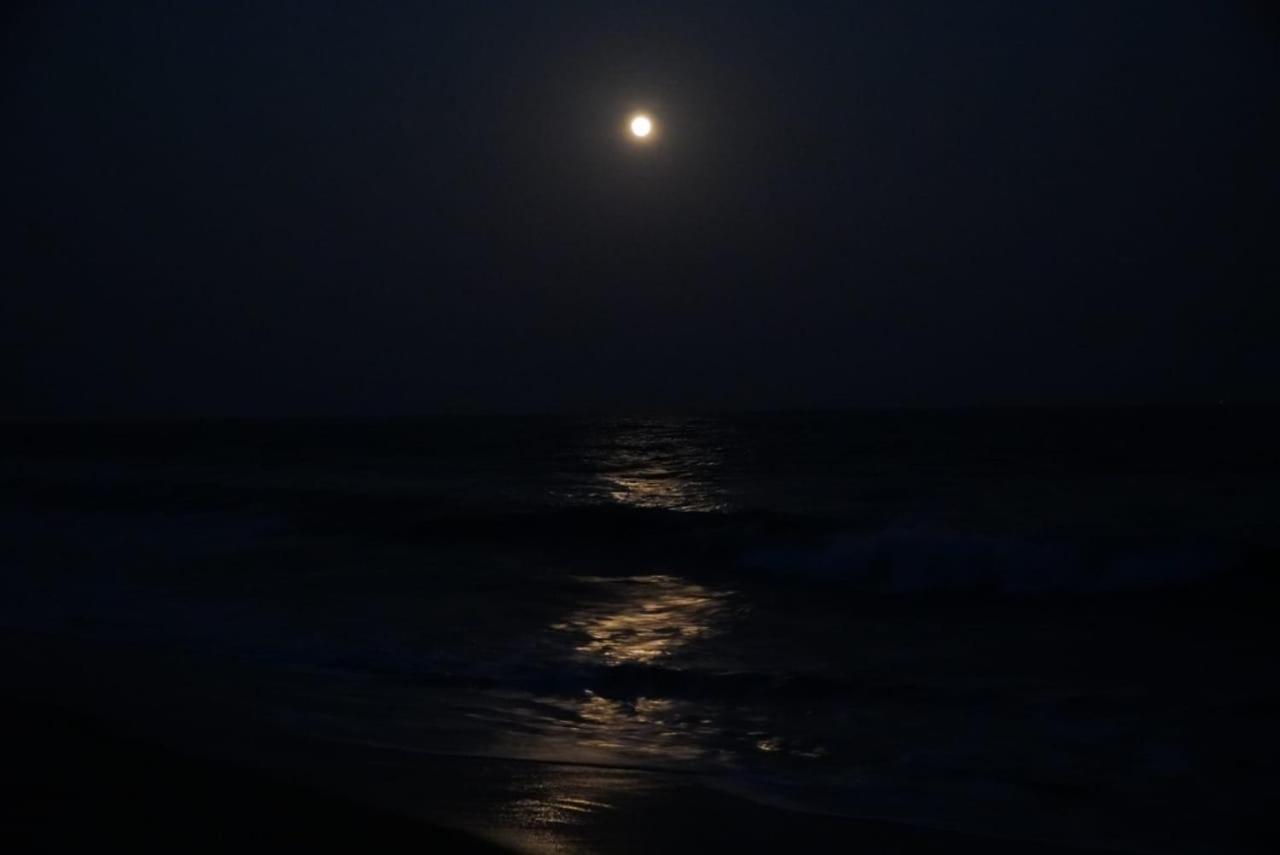 154 Pearl Beach Mamallapuram Esterno foto
